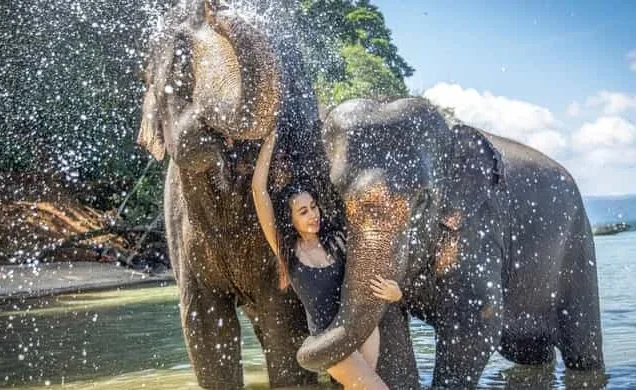 ATV Ride with Khai Islands and Elephant Bathing