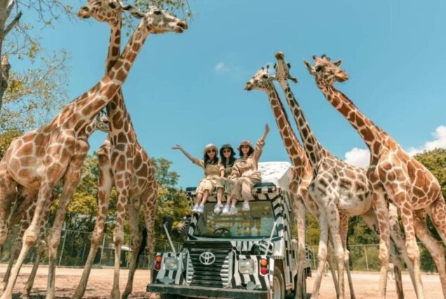 Safari World + Marine Park + Lunch + Private Transfer