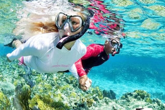 Koh samui: Angthong Snorkel Explorer